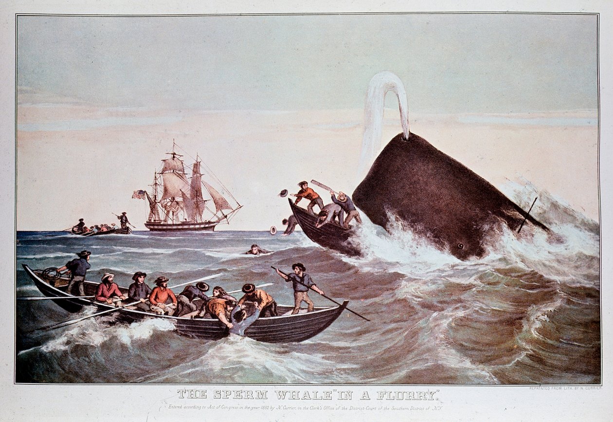 Sperm whales in the whirlpool, capsizes small boats. Lithograph from the beginning of the 19th century Private Collection 作者 匿名匿名