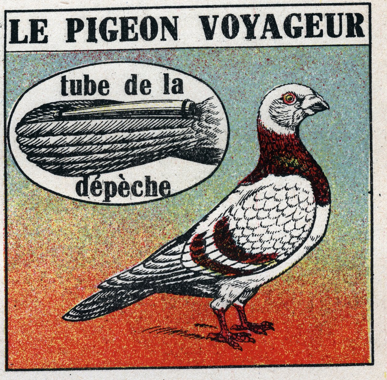 The Post Office: The Traveller Pigeon. Anonymous illustration from 1925. Private collection. 作者 匿名匿名