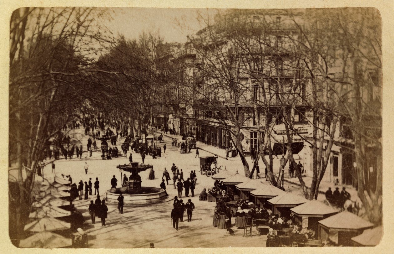 马赛市及其周边地区，大约在1885-1890年。鲜花大道，圣路易课程，私人收藏 作者 匿名匿名