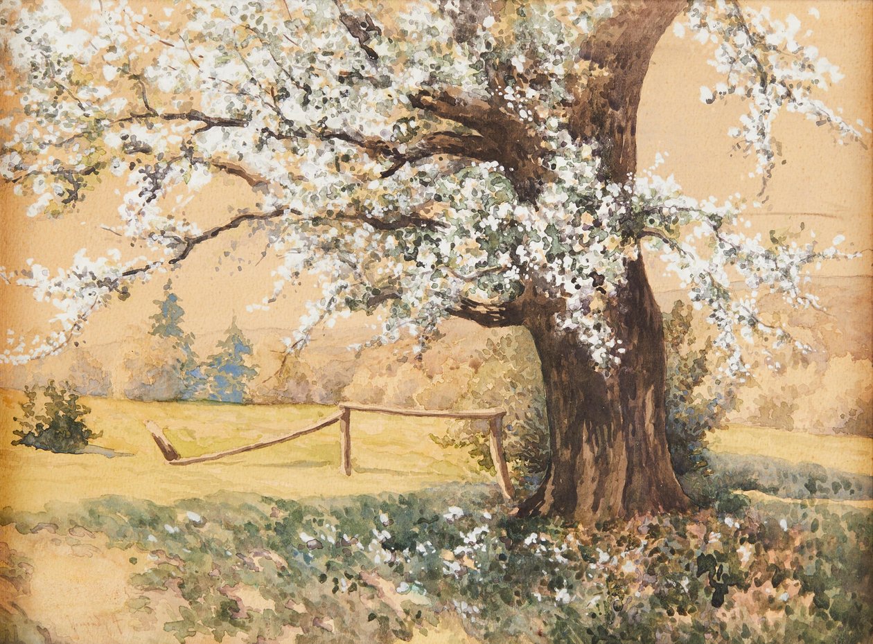 Antal Neogrády 花树 作者 新肛门