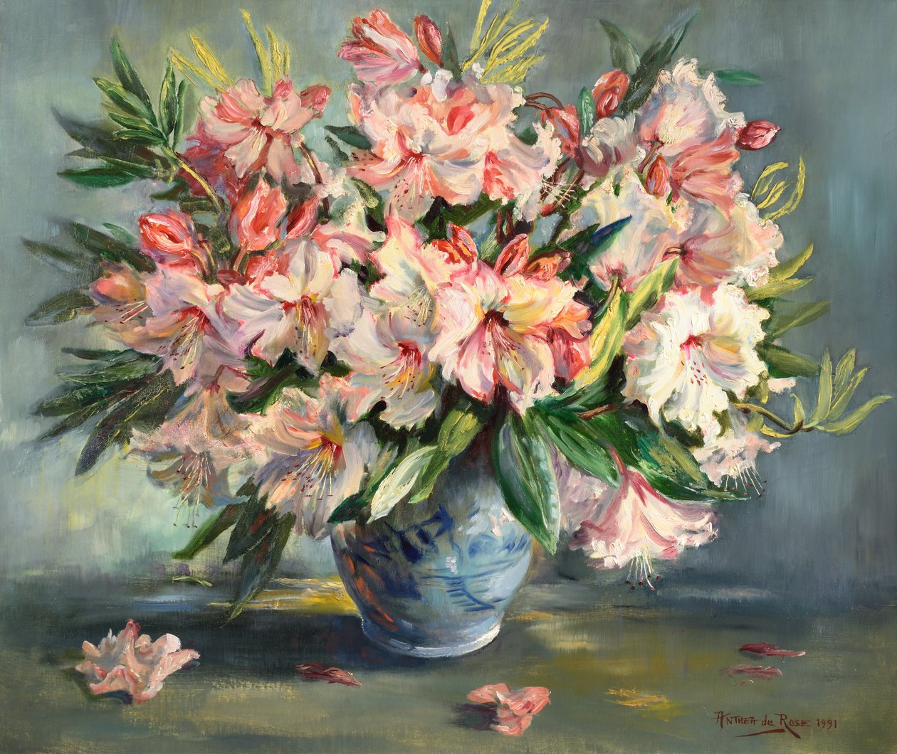 杜鹃花 作者 安西娅·杜罗斯（Anthea Durose）