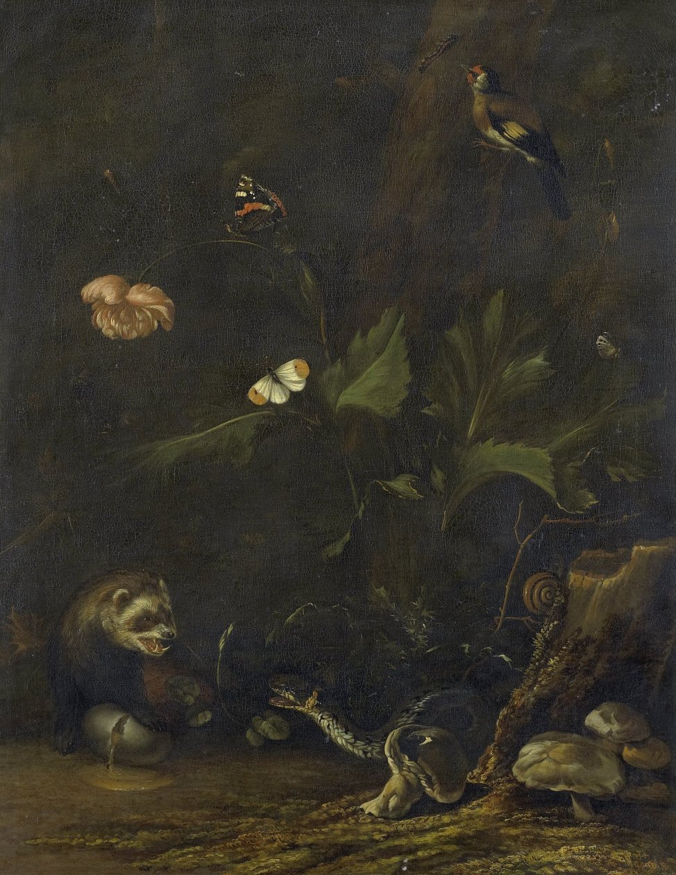 动物和植物 作者 安东尼奥·范·博瑟姆（Anthonie van Borssom）