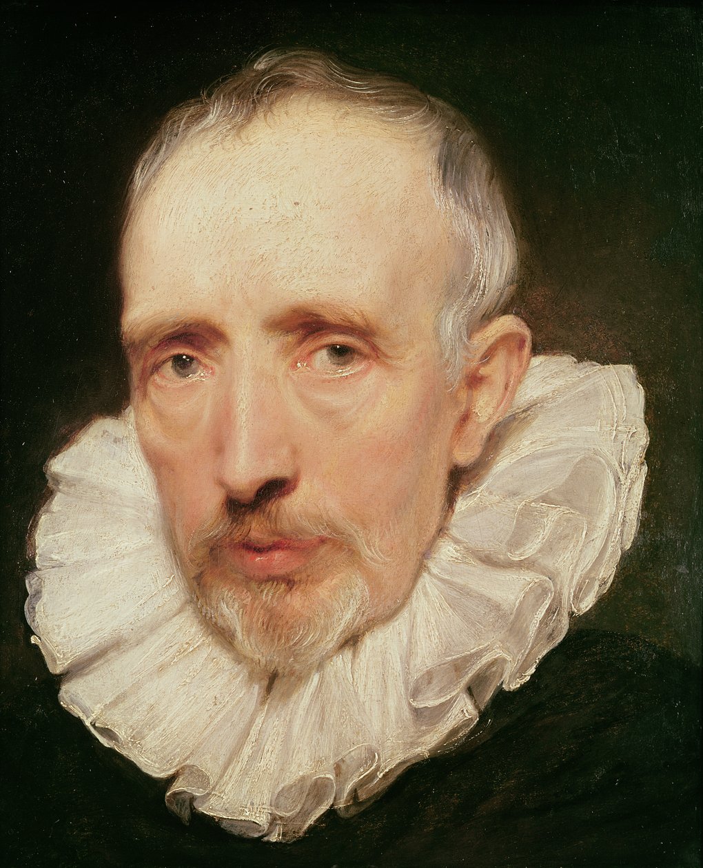 Cornelis van der Geest的肖像，c.1620（橡木油） 作者 安东尼·范·戴克