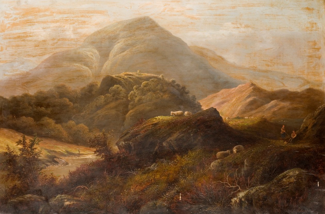 与绵羊的风景 作者 安东尼·格雷厄姆
