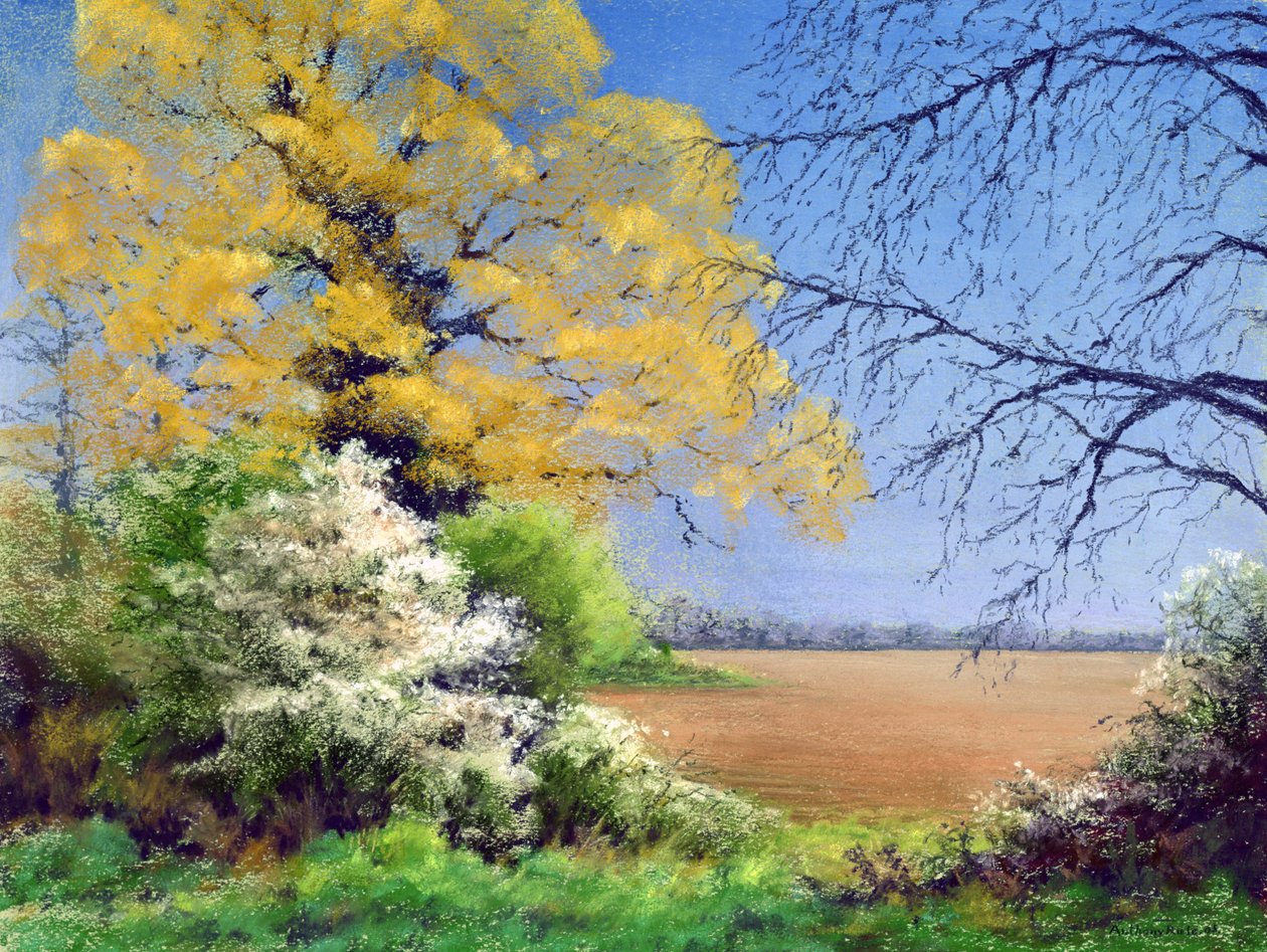 Blackthorn Winter，2003 作者 安东尼·鲁尔
