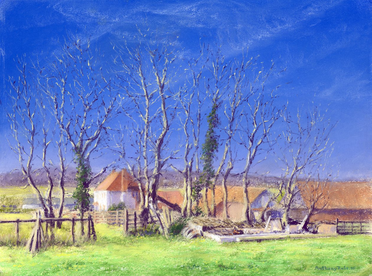 布罗克韦尔农场，2005年 作者 安东尼·鲁尔