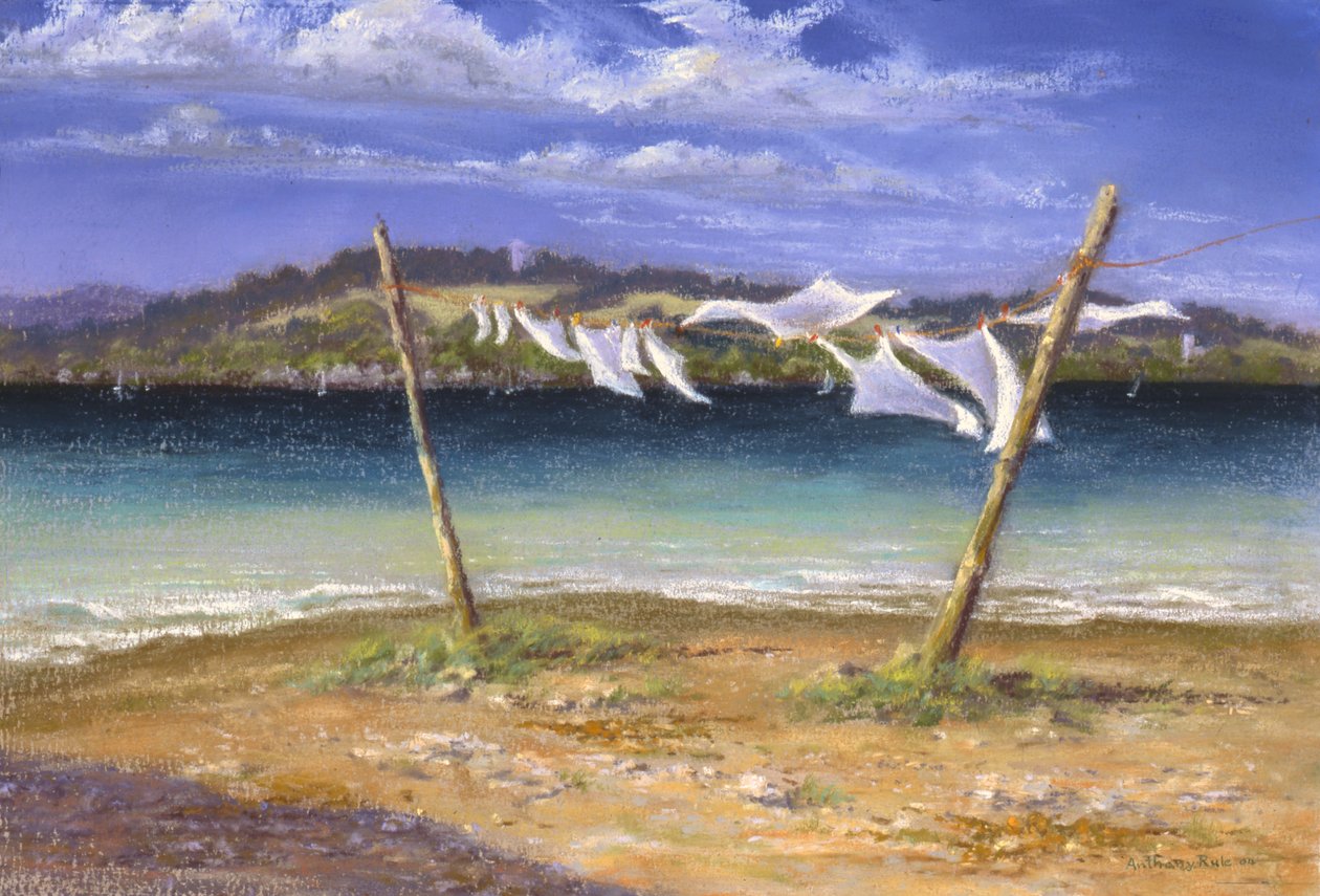 干燥白人，2004年 作者 安东尼·鲁尔