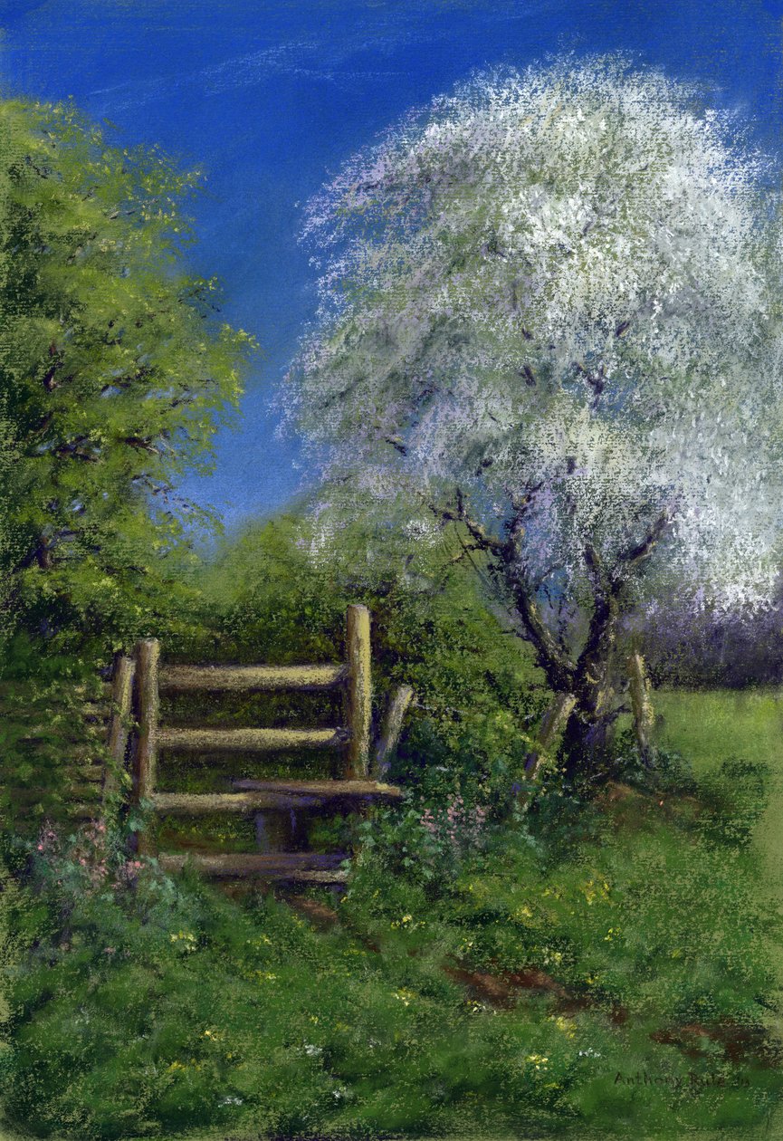 斯蒂尔的春天, 2013 (纸上粉笔画) 作者 安东尼·鲁尔