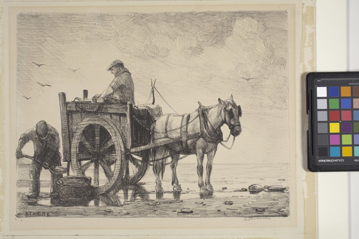 海藻采集者（石版画） 作者 安东尼·蒂姆