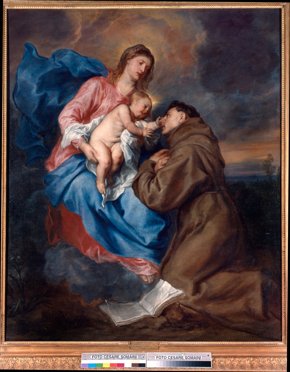 Madonna and Child with St. Anthony of Padua 作者 安东尼·范·戴克