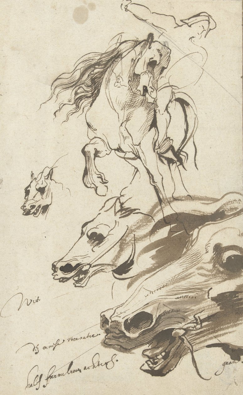 研究骑手和马头，1620-1（笔和纸在纸上） 作者 安东尼·范·戴克