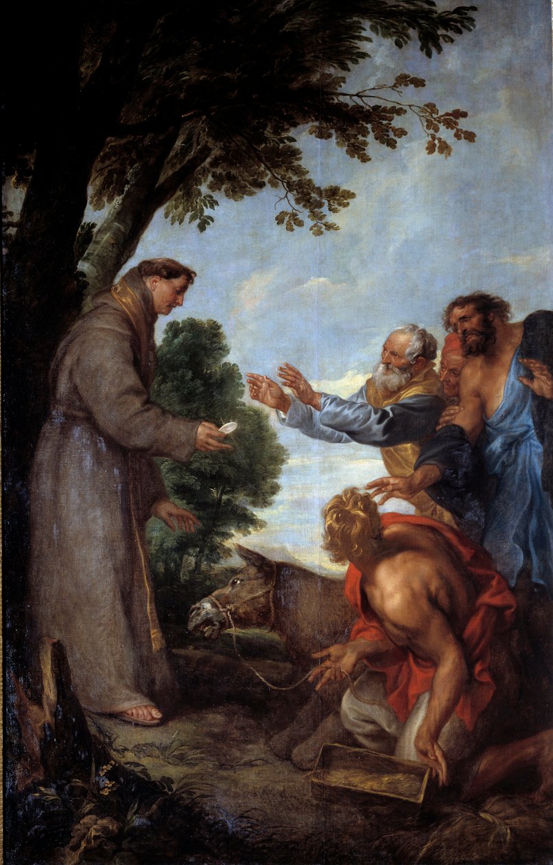 The miracle of the mule (or Miracle of Saint Anthony of Padua (san antonio di padova) in Toulouse) The mule of the Jew Guillard bows before the host shown by Saint Anthony of Padua, dedigning his trough of food. His master converts to the sight of this mir 作者 安东尼·范·戴克