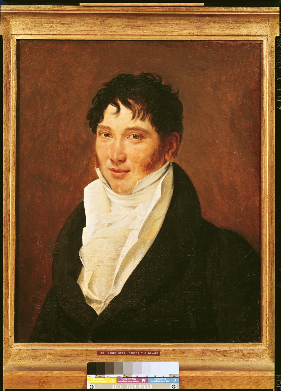Antoine Jerome Balard的肖像（1802-76） 作者 安东尼·让·格罗斯