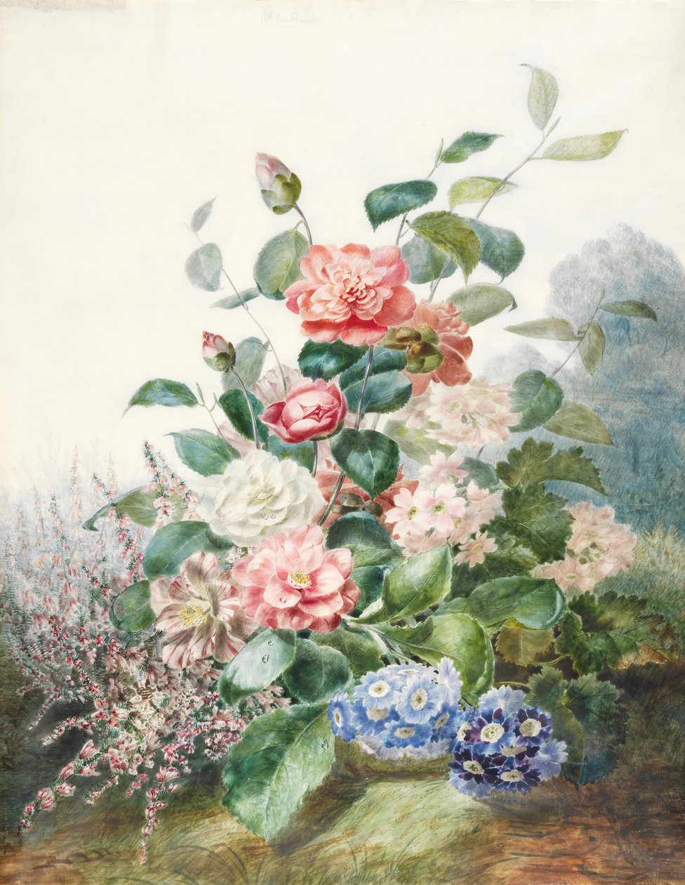 在景观设置中生长的各种花卉（在牛皮纸上的wc） 作者 安托万·帕斯卡（Antoine Pascal）