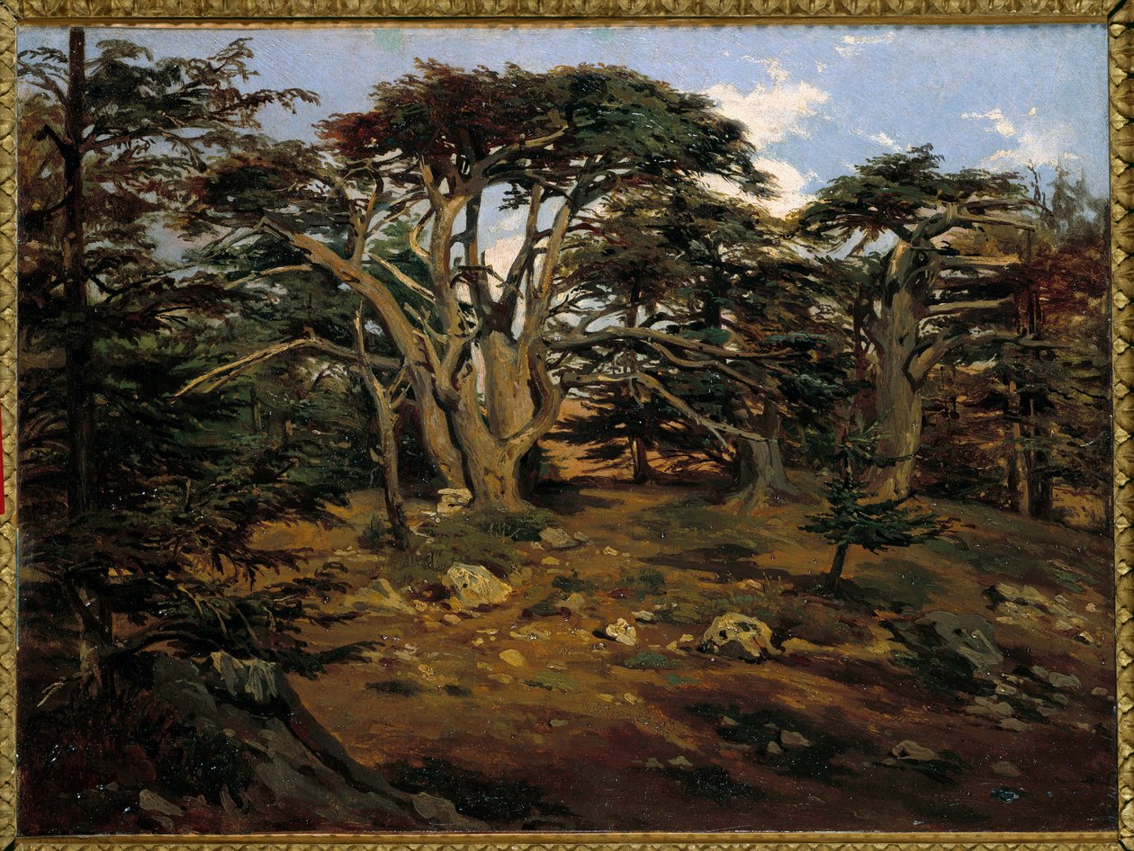 Les vieux cedres sur le Mont Liban a Boumana 安托万-阿尔方斯-蒙特福特（1802-1884）的画作 19世纪 太阳 0,32x0,44米 巴黎，奥赛博物馆 作者 安托万·阿方斯·蒙福特