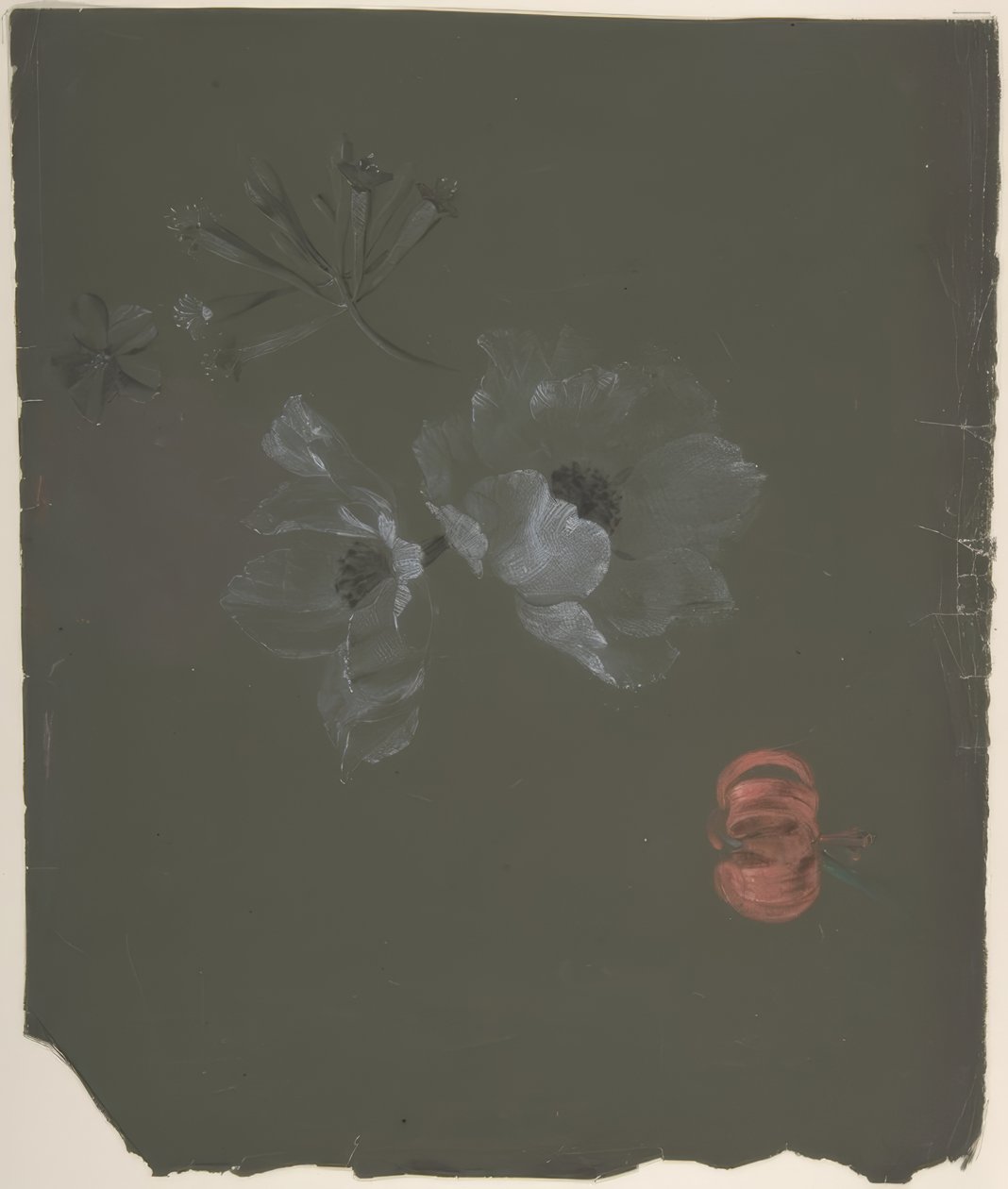 Floral Design 作者 安托万·伯戎（Antoine Berjon）