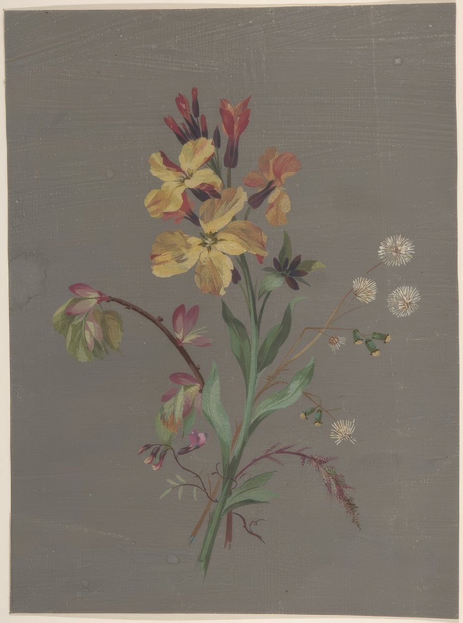 Floral Design 作者 安托万·伯戎（Antoine Berjon）