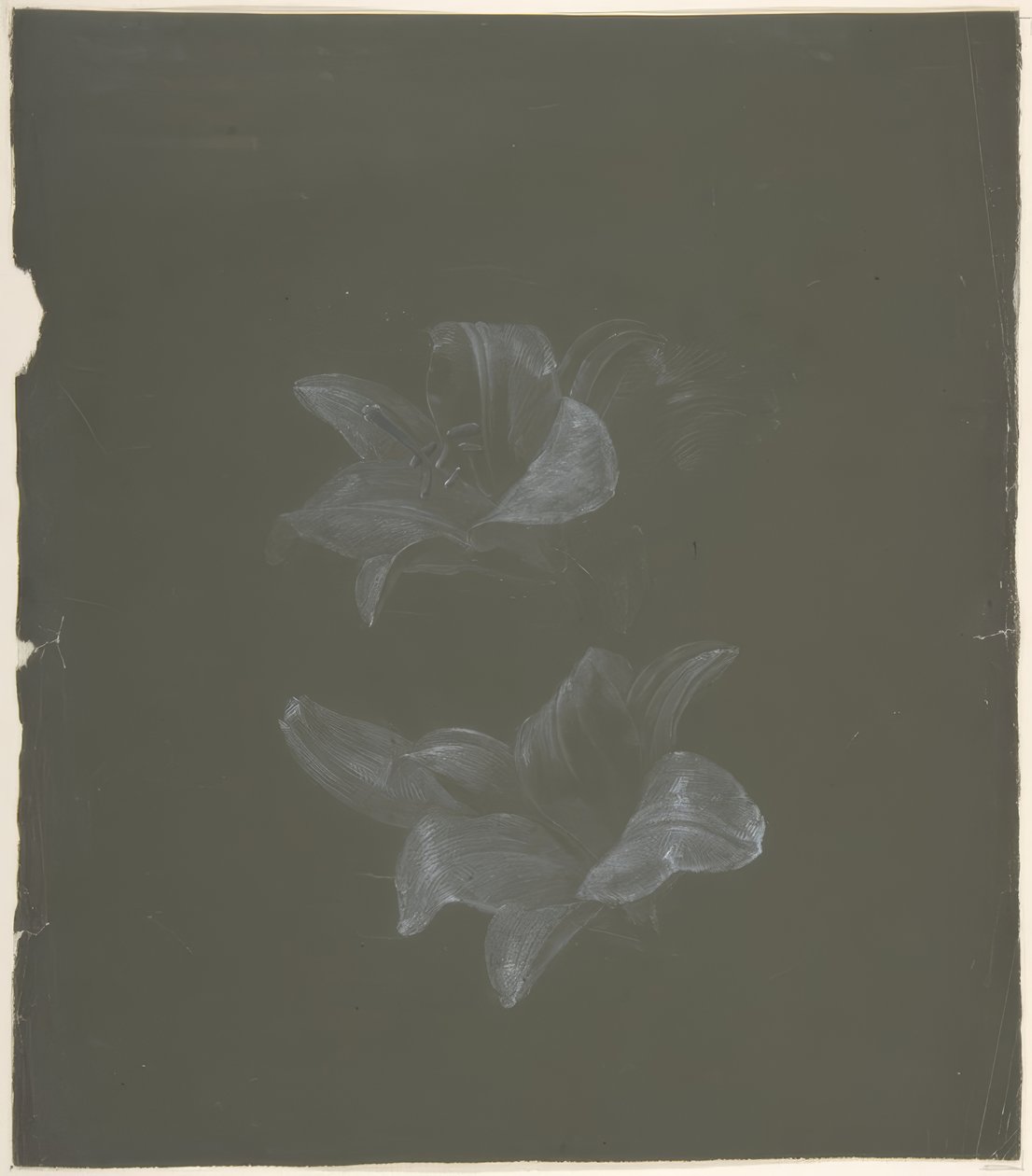 Floral Design 作者 安托万·伯戎（Antoine Berjon）