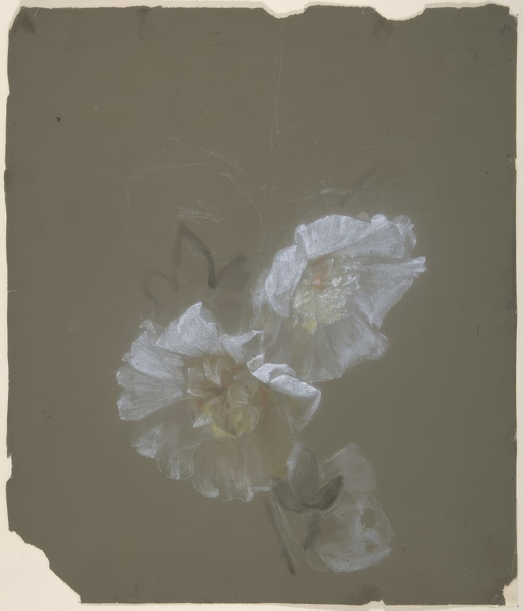 Floral Design 作者 安托万·伯戎（Antoine Berjon）