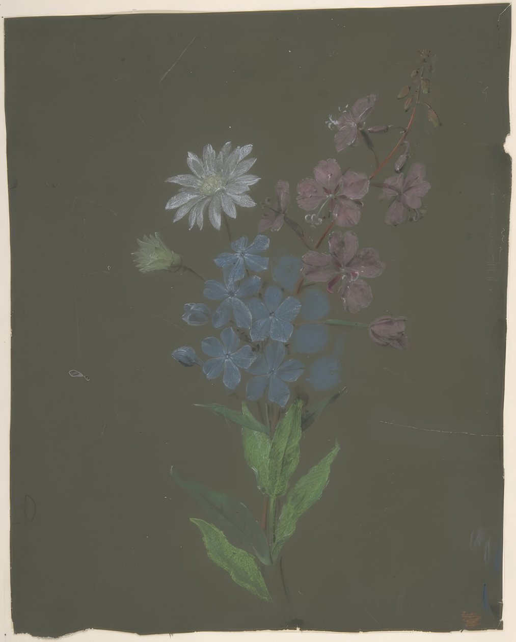Floral Design 作者 安托万·伯戎（Antoine Berjon）