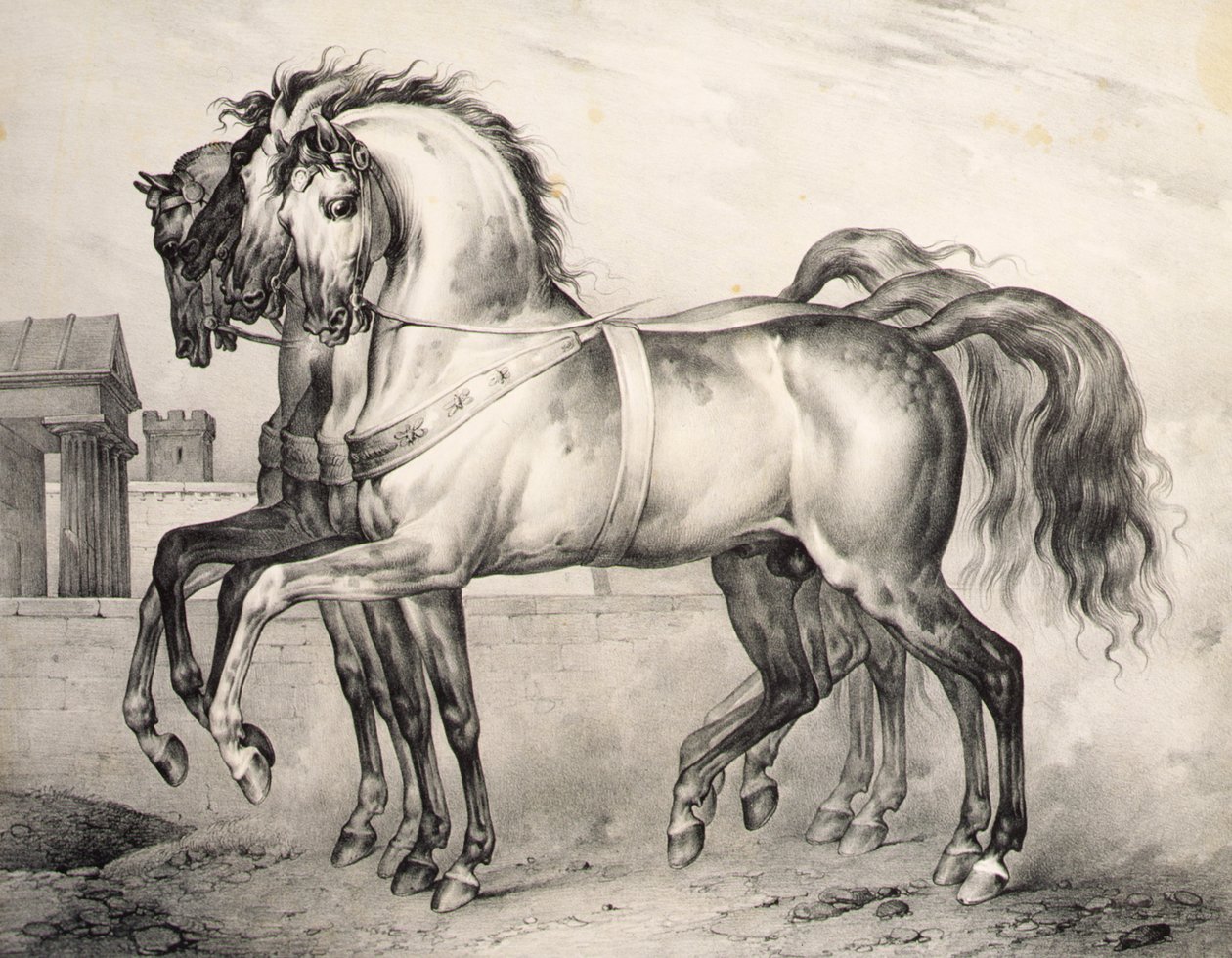 瓦尔米战役中奥尔良公爵路易-菲利普骑的马，维克多-亚当（1801-66）约1834-38年刻的（平版）。 作者 安东尼·查尔斯·贺拉斯·韦尔内