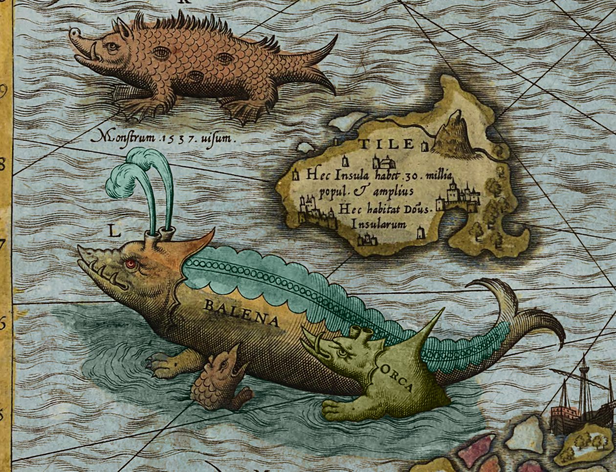 奥拉斯-马格努斯（1490-1557 年）绘制的《海洋地图》（Carta marina）细部 作者 安托万·拉弗里里