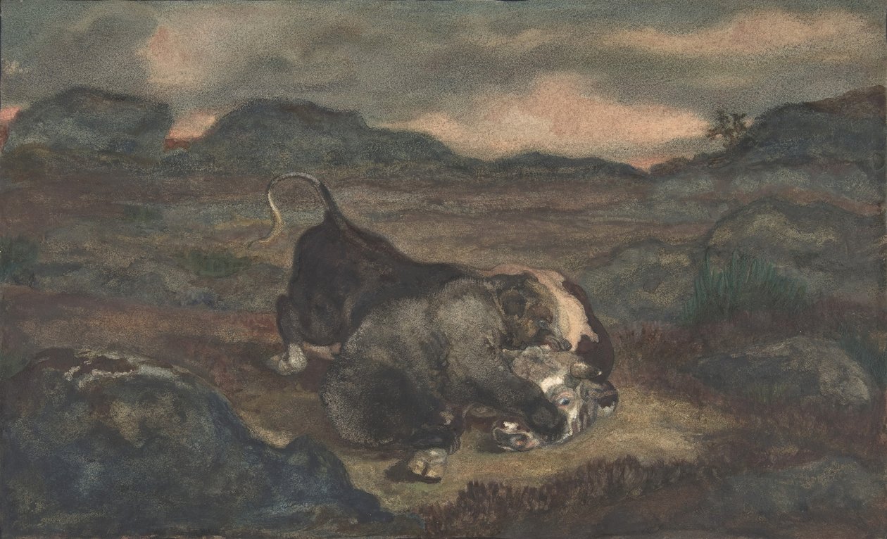 熊杀牛，1810-75。 作者 安托万·路易斯·巴里