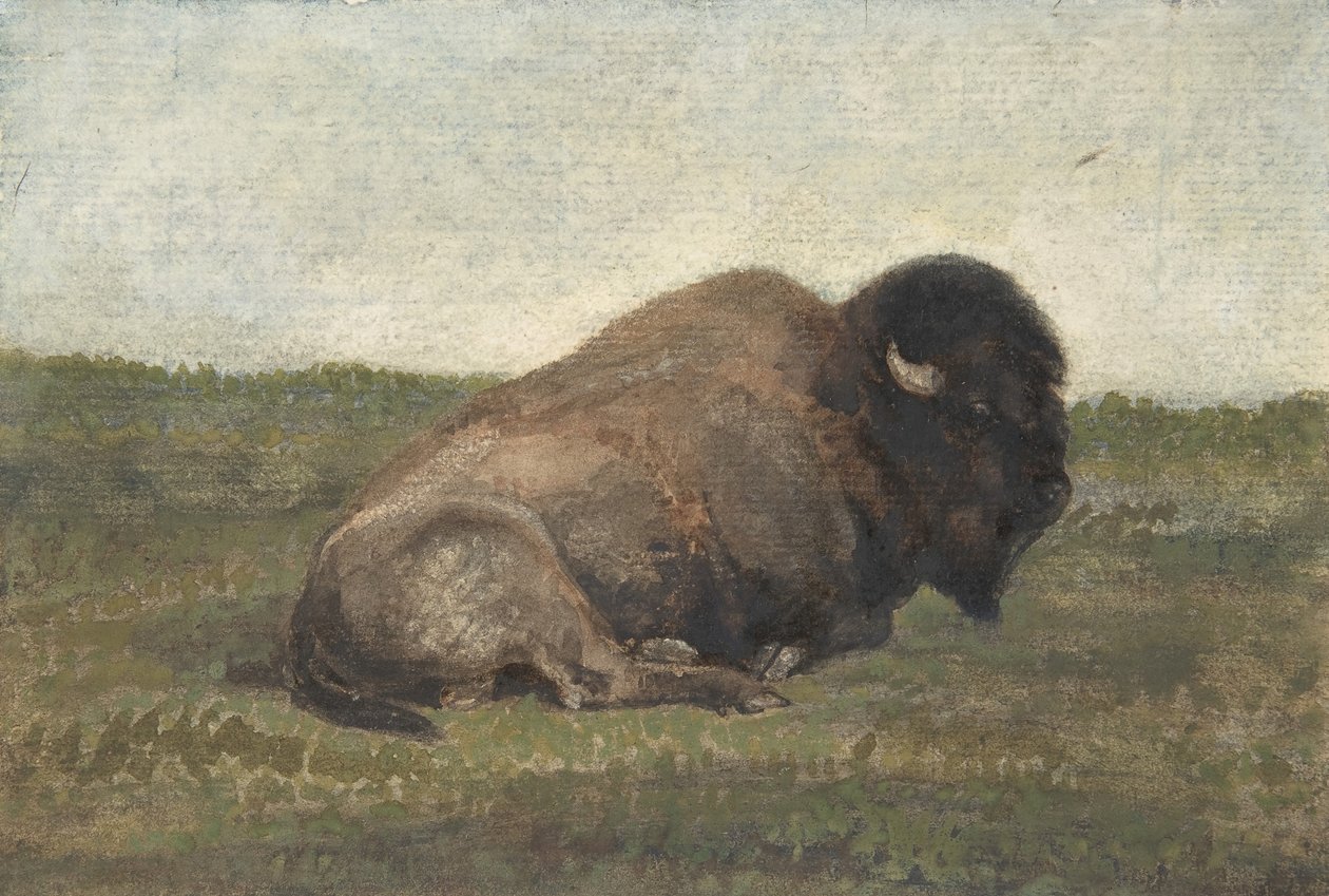 躺着的野牛，1810-75。 作者 安托万·路易斯·巴里