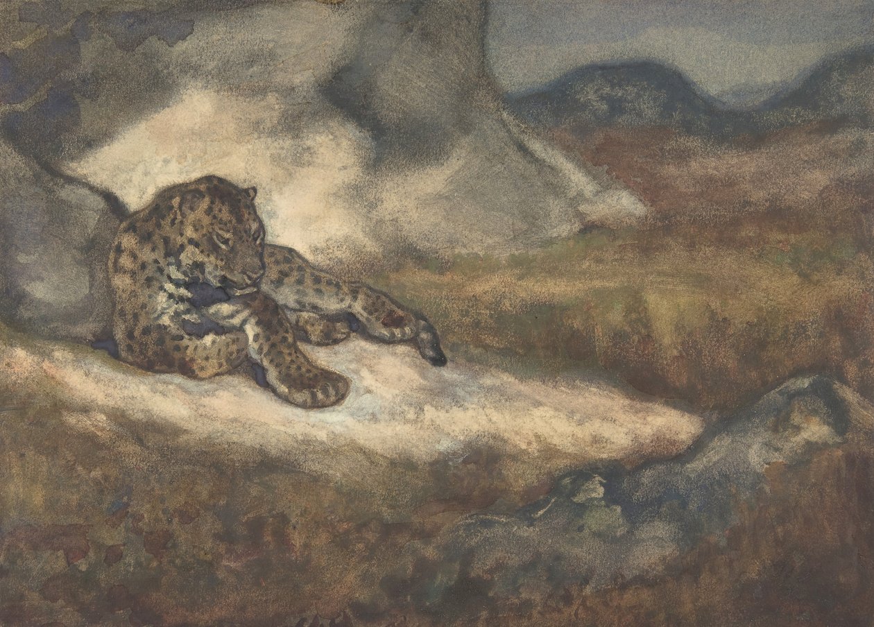 躺着的豹子，1810-75。 作者 安托万·路易斯·巴里