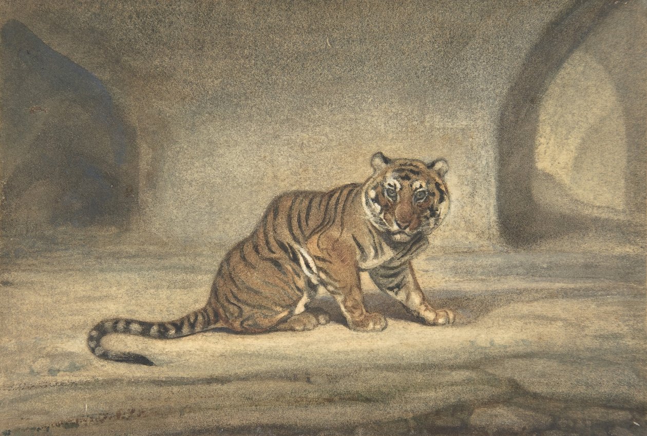虎，1810-75。 作者 安托万·路易斯·巴里