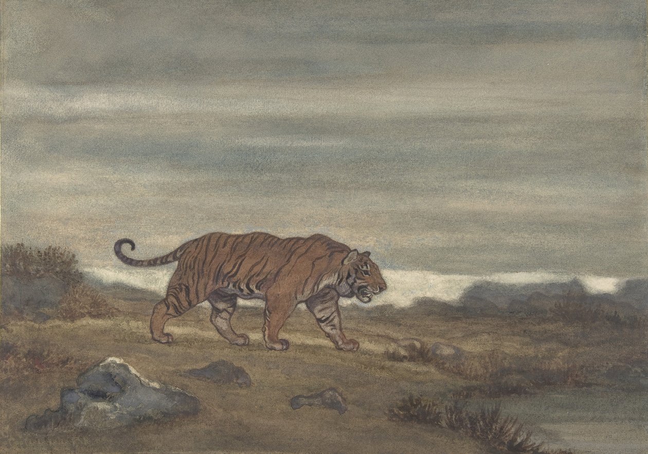老虎走近水池，1810-75。 作者 安托万·路易斯·巴里