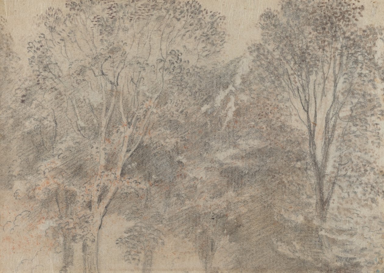 树顶[背面] 作者 安托万·瓦托