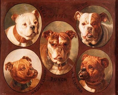 英国斗牛犬内尔、迪多、庞奇、麦琪劳德和亚历山大 作者 安托万或托尼·杜里