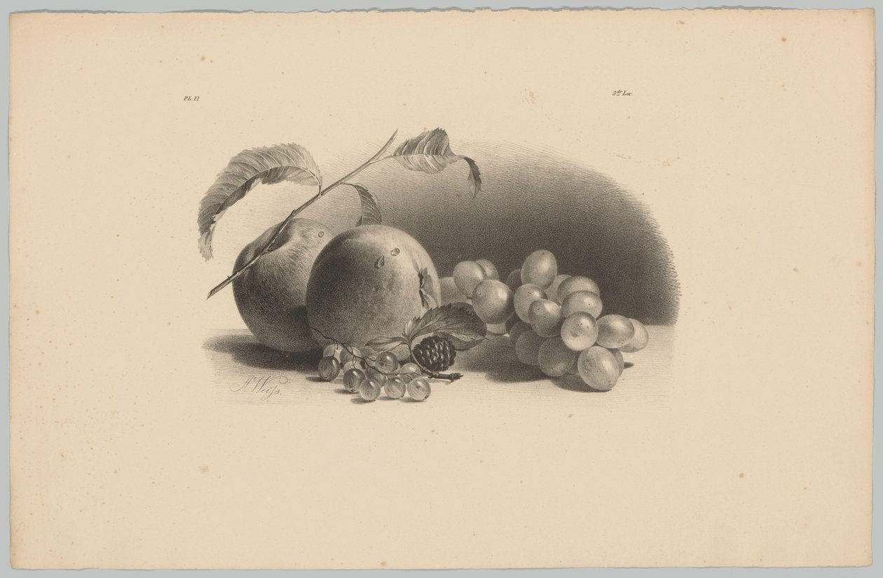苹果、浆果、黑莓和葡萄 Bloem en Fruit Studien (...) 第三集（系列标题） 作者 安东·魏斯