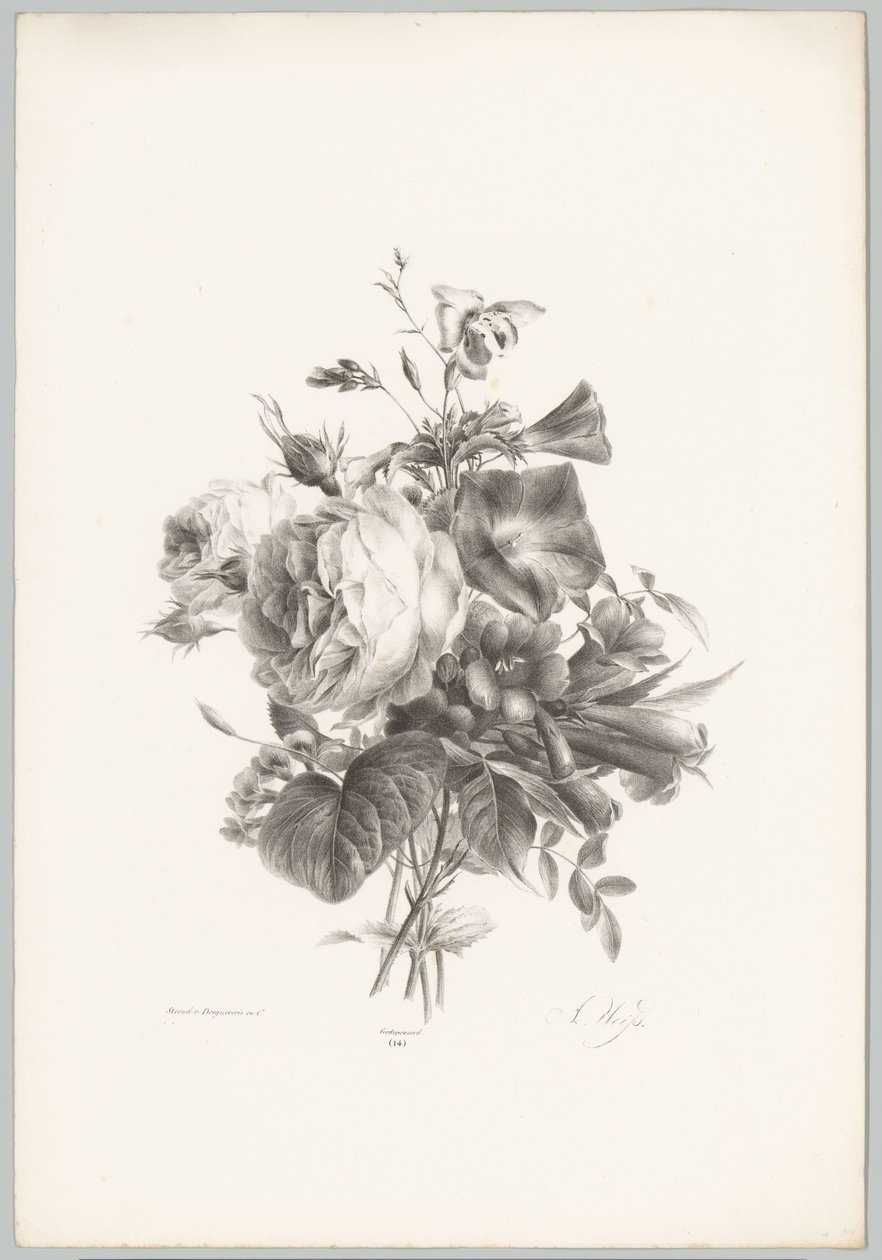 玫瑰和花萼花
花果研究》（......）第 10 期（系列名称） 作者 安东·魏斯