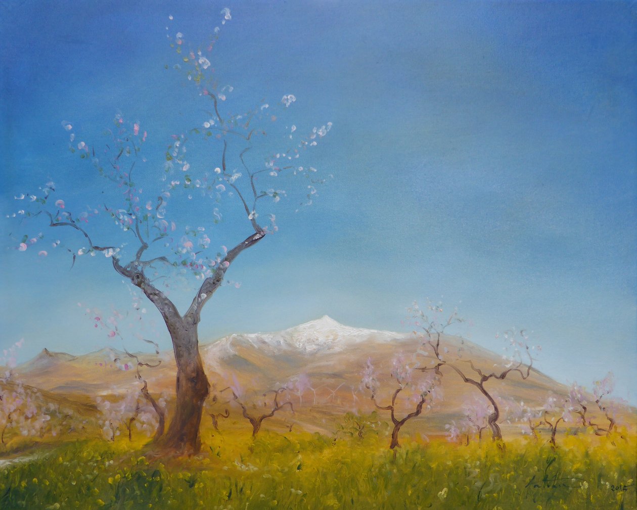 有雪的杏仁开花加盖了内华达山山，2016年 作者 安东尼娅·迈亚特