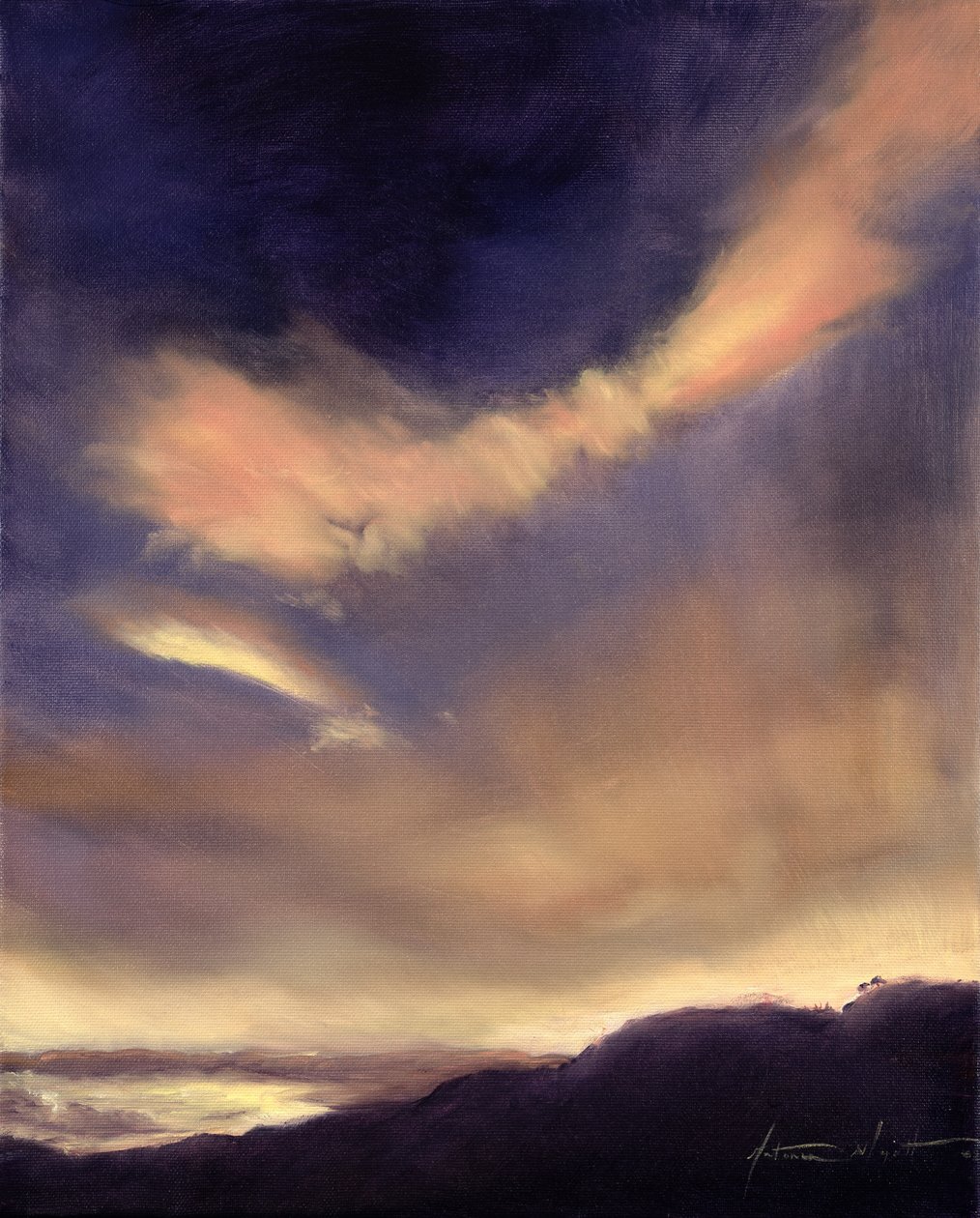 蝴蝶云，2002年 作者 安东尼娅·迈亚特