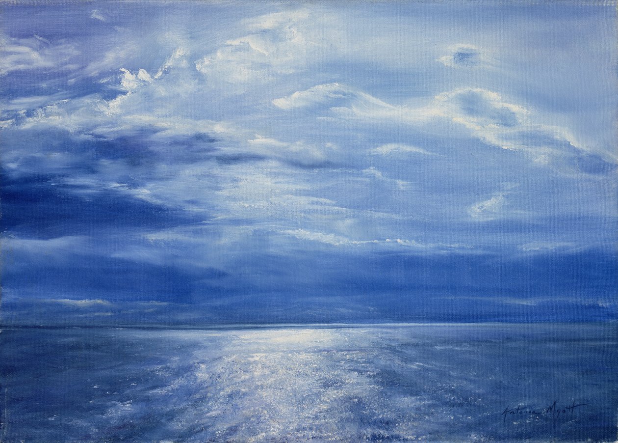 深蓝海，2001年 作者 安东尼娅·迈亚特