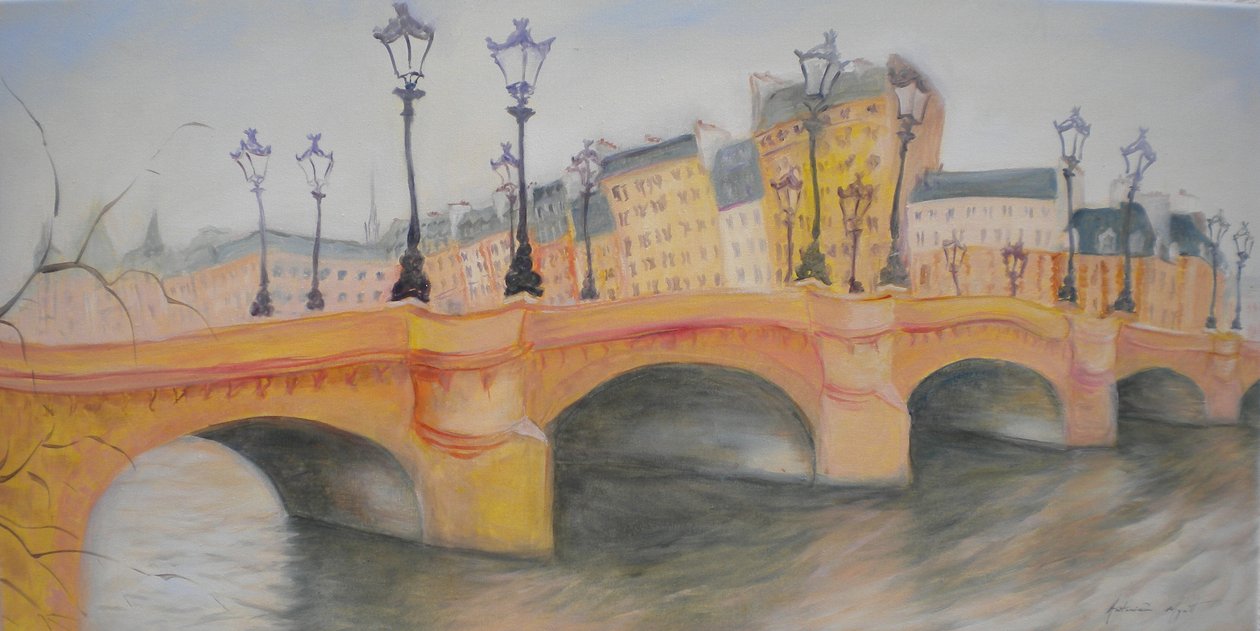 Pont Neuf和Ile de la Cite，2010 作者 安东尼娅·迈亚特