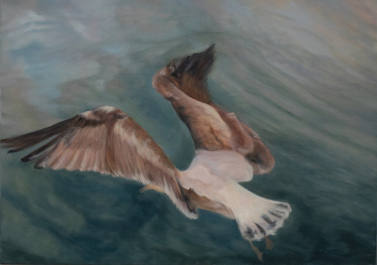 海鸥降落，2012（布面油画） 作者 安东尼娅·迈亚特