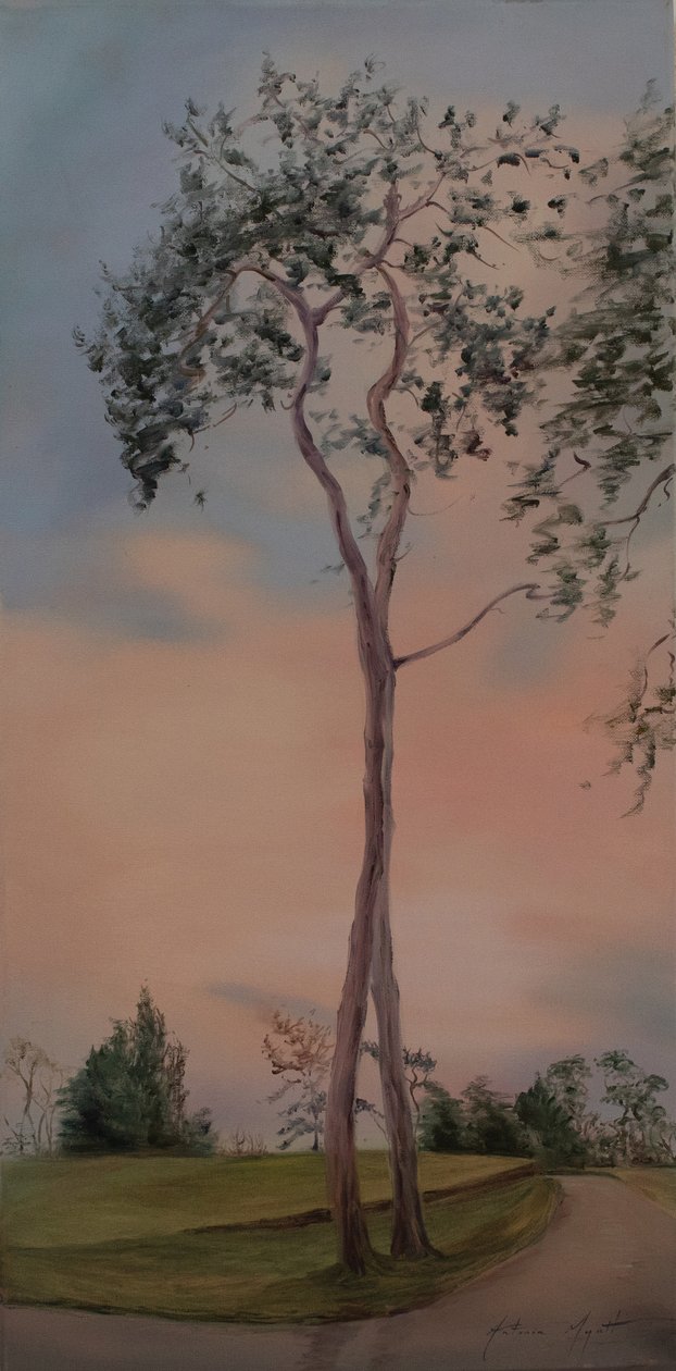 塔普利公园的树木，2013（布面油画） 作者 安东尼娅·迈亚特