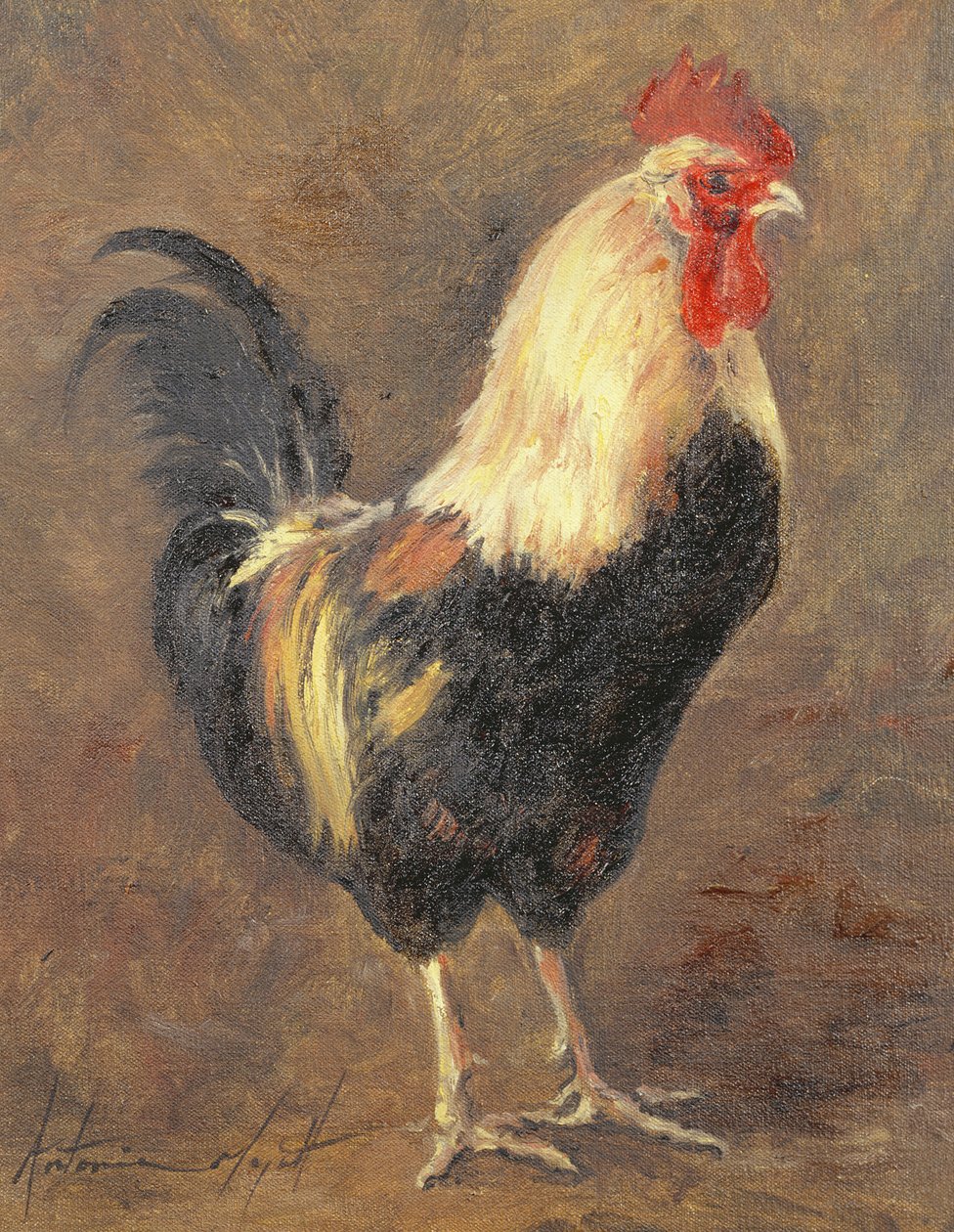 The Cockerel，1999 作者 安东尼娅·迈亚特