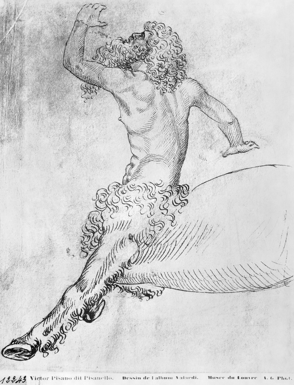 Centaur，来自The Vallardi专辑 作者 安东尼奥·皮萨内洛