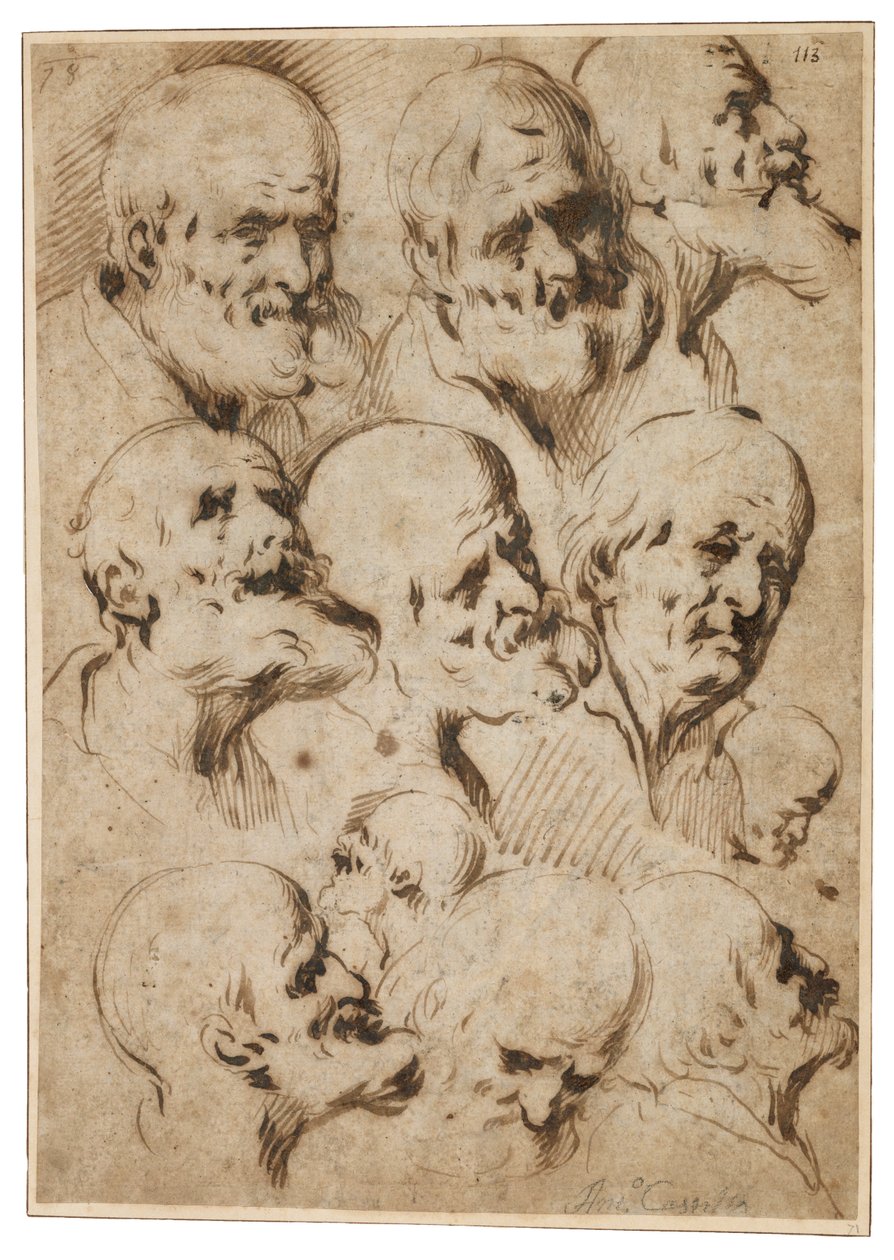 使徒之首的研究，c.1650（在纸上的芦苇笔和棕色墨水） 作者 安东尼奥·德尔·卡斯蒂略·萨维德拉