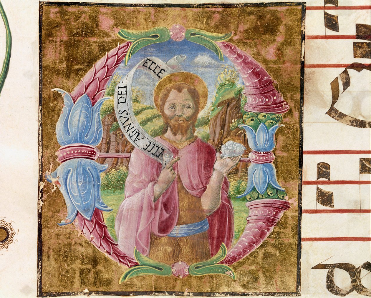 Saint John the Baptist Lettrine illuminated by Antonio Cicognari. Detail of an antiphonary. 1483. Cremone, choral 4, capitolo del duomo 作者 安东尼奥·西科格纳拉