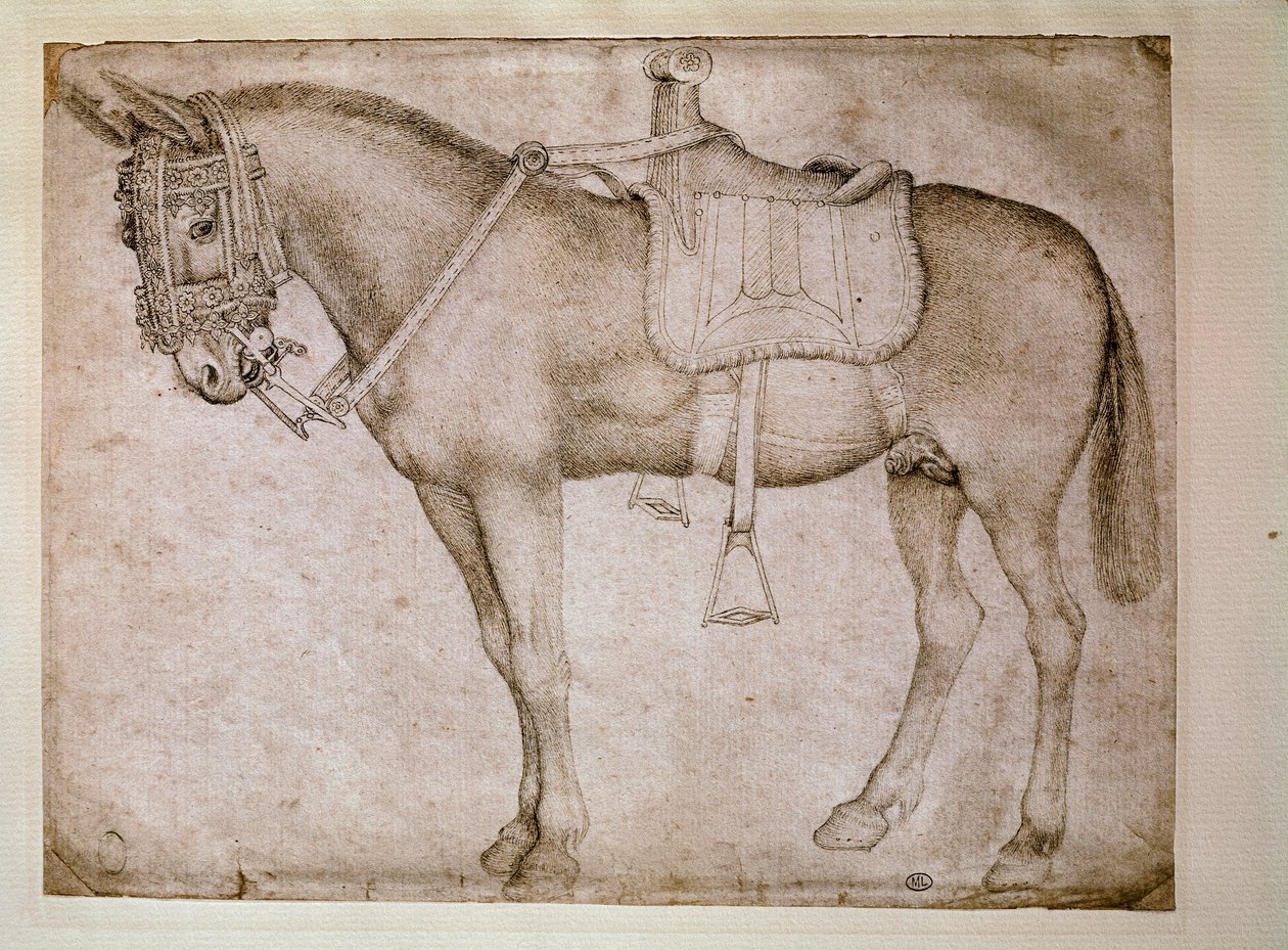 骡子的马具。安东尼奥-皮萨诺（Antonio Pisano dit il Pisanello）的绘画作品（1380-1455）。 作者 安东尼奥·皮萨内洛