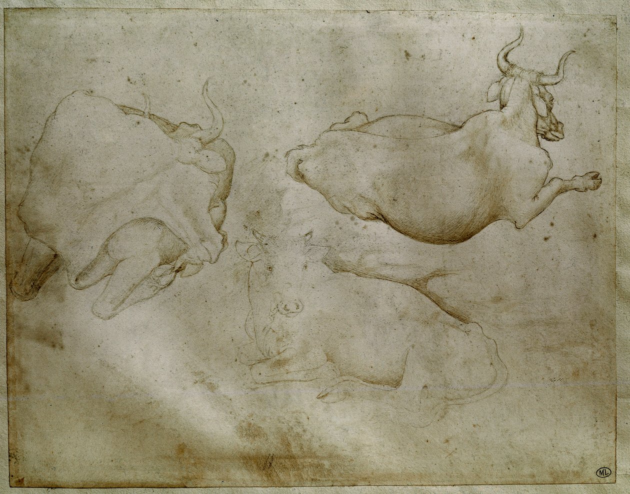 两头牛和一棵杜松。安东尼奥-迪-普西奥-皮萨诺（Antonio di Puccio Pisano dit Pisanello，1395-1455）绘制。卷轴，金属尖端。高度：17.6厘米。卢浮宫，勋章柜 作者 安东尼奥·皮萨内洛