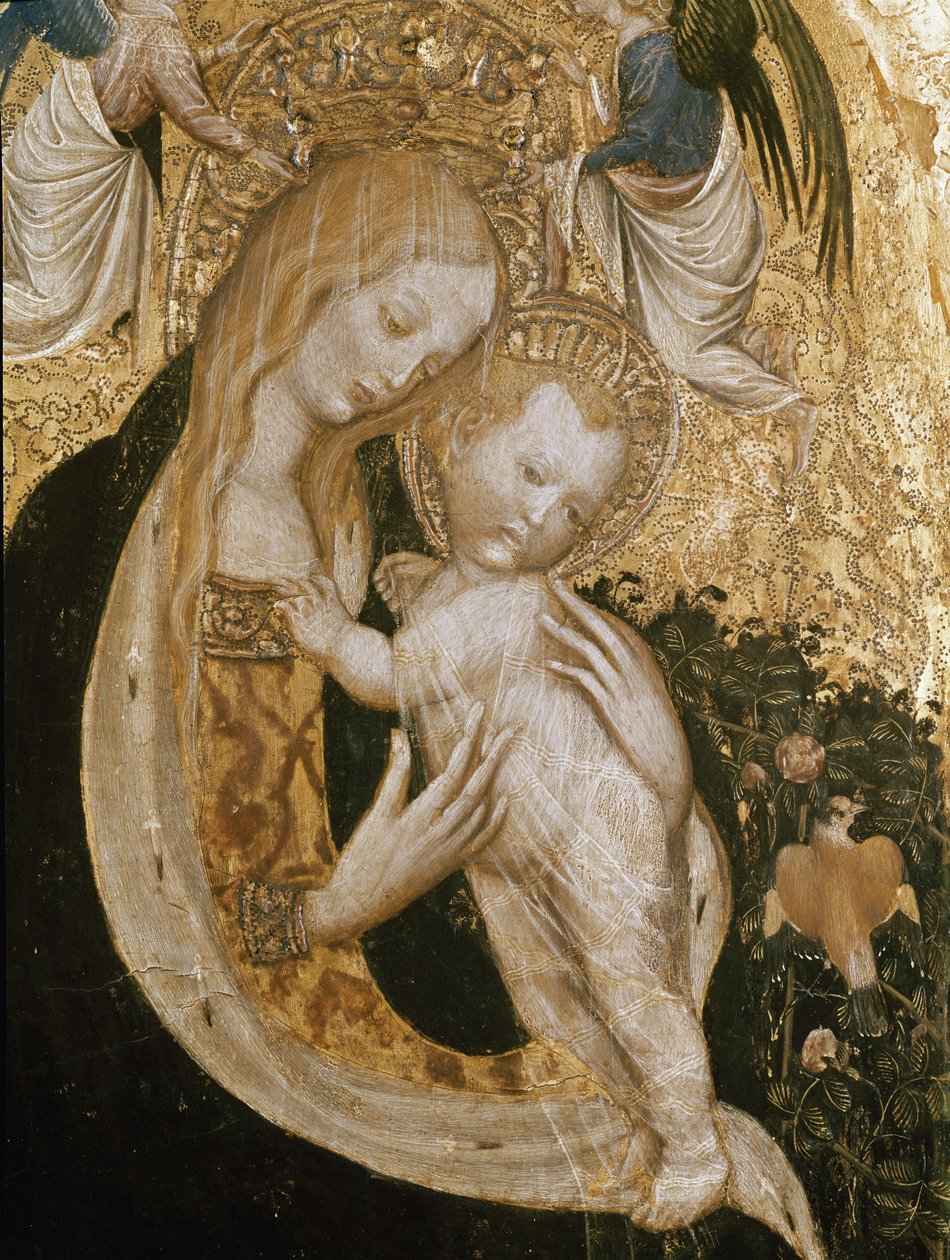 Virgin with quail (Detrempe on wood, c.1420) 作者 安东尼奥·皮萨内洛