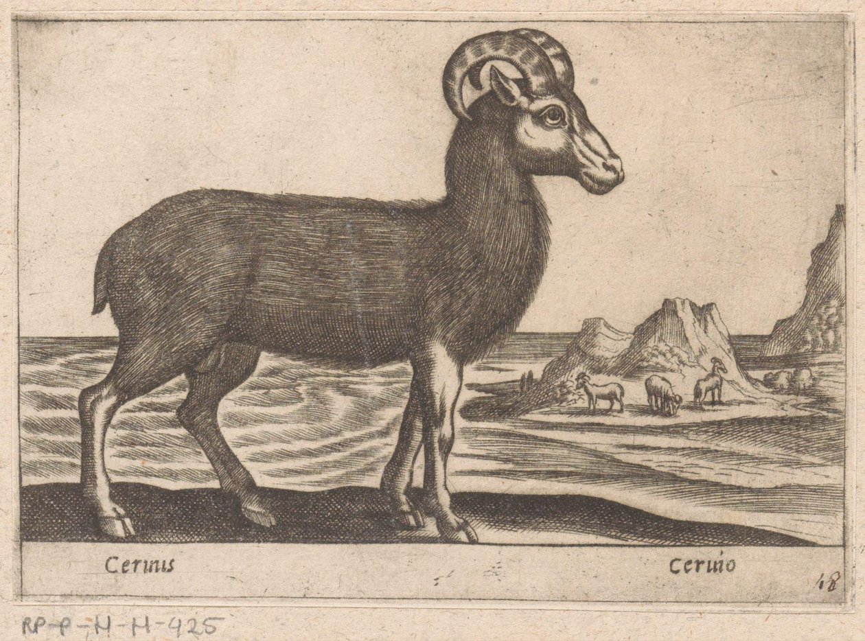 宝石
Cerinis/Ceruio（物品上的标题）
Dieren en fabelwezens（系列名称）
Nova raccolta de li animali più curiosi del mondo（系列名称） 作者 安东尼奥·坦佩斯塔