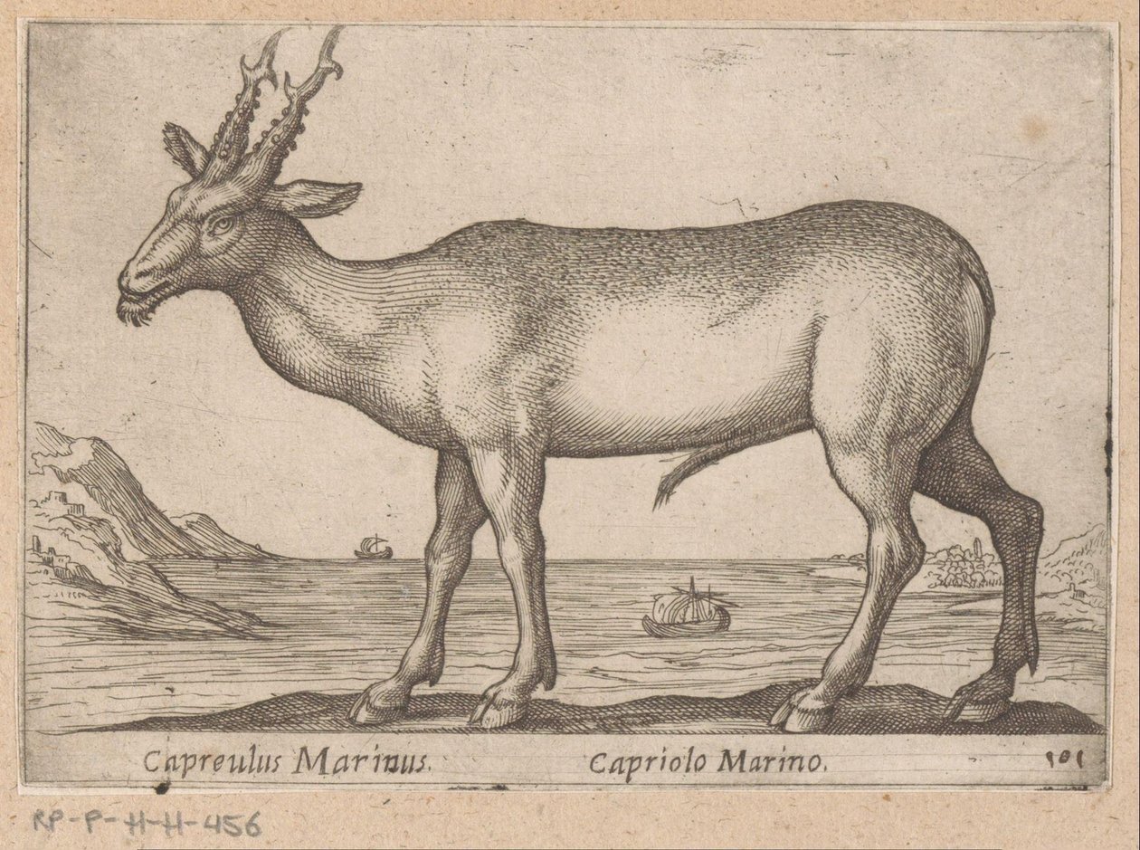 赫尔特 Capreulus Marinus/ Capriolo Marino（物体上的标题） Dieren en fablewezens（系列标题） 世界上最好奇的动物的新收藏（系列标题） 作者 安东尼奥·坦佩斯塔